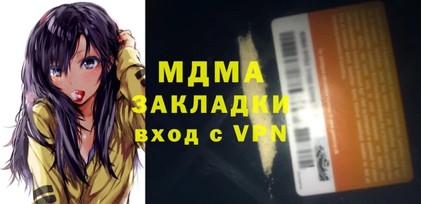 индика Инта