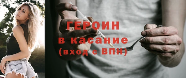 индика Инта