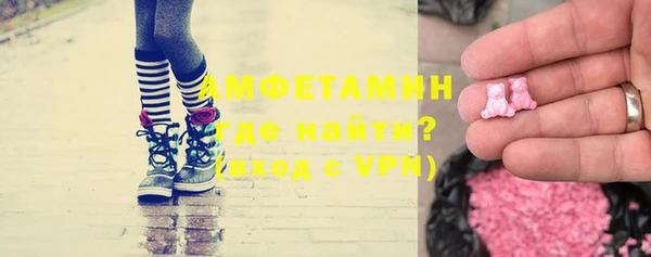 индика Инта