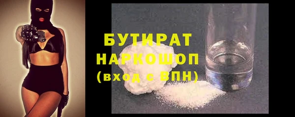 индика Инта