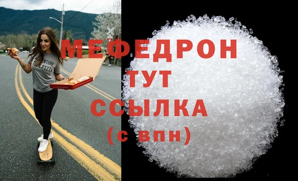 индика Инта