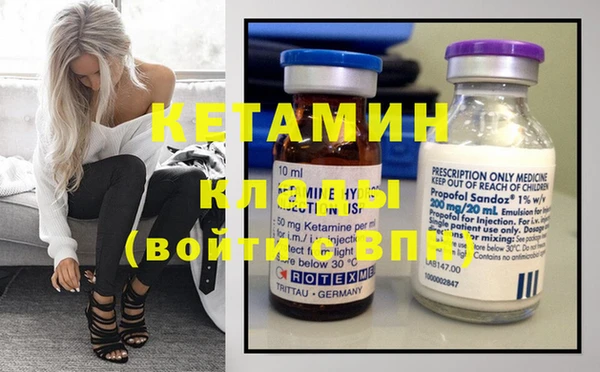 индика Инта