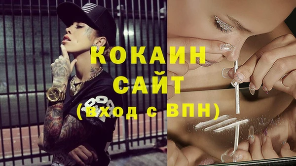 индика Инта