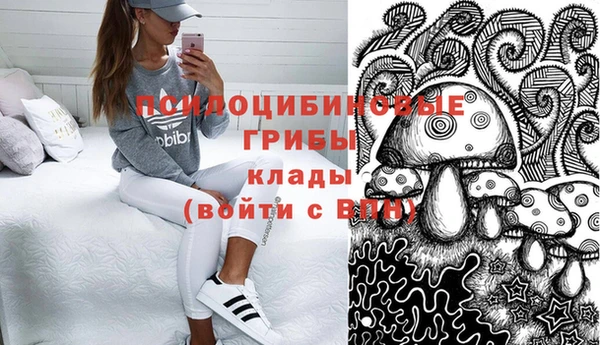 индика Инта