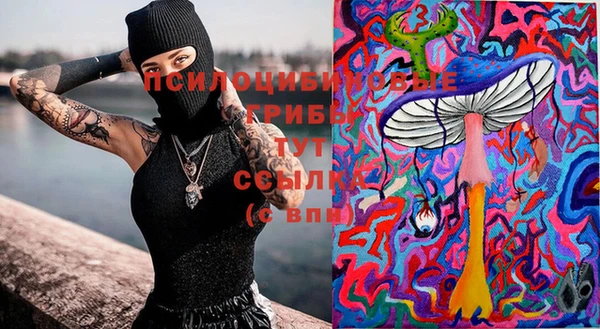 индика Инта