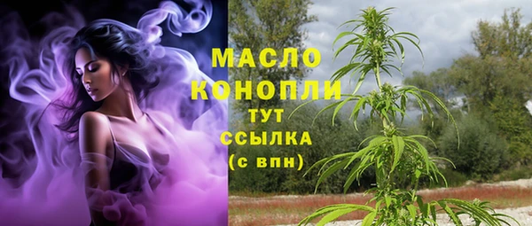 индика Инта