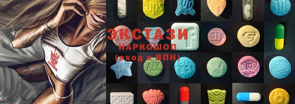 индика Инта