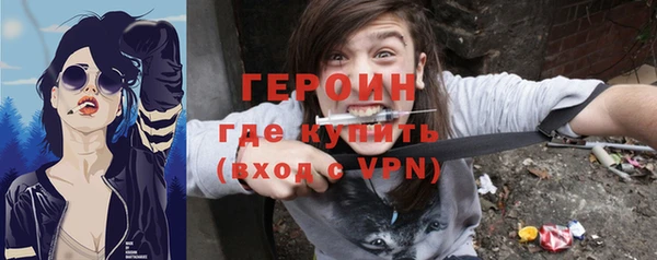 индика Инта