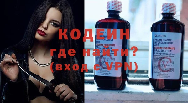 индика Инта