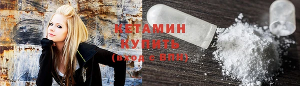 индика Инта